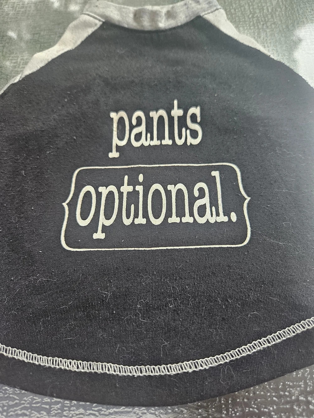 Pants Optional Black & Gray Dog Tee - Playful Graphic Pet Shirt